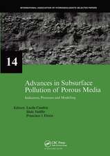 Advances in Subsurface Pollution of Porous Media - Indicators, Processes and Modelling: IAH selected papers, volume 14