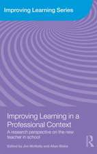 Improving Learning in a Professional Context: A Research Perspective on the New Teacher in School