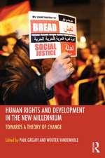 Human Rights and Development in the new Millennium: Towards a Theory of Change