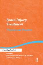 Brain Injury Treatment: Theories and Practices