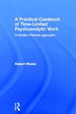 A Practical Casebook of Time-Limited Psychoanalytic Work: A Modern Kleinian approach