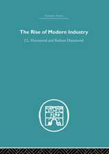 The Rise of Modern Industry