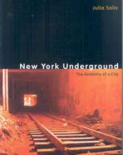 New York Underground: The Anatomy of a City