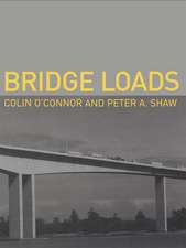 Bridge Loads: An International Perspective