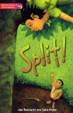 Literacy World Comets Stage 2 Novel Split