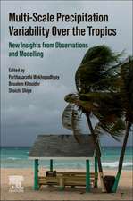 Multi-Scale Precipitation Variability Over the Tropics: New Insights from Observations and Modelling