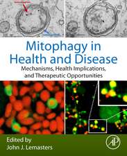 Mitophagy in Health and Disease: Mechanisms, Health Implications, and Therapeutic Opportunities