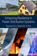 Enhancing Resilience in Power Distribution Systems