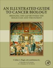 An Illustrated Guide to Cancer Biology