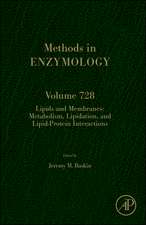 Multidimensional Signal Processing