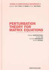 Perturbation Theory for Matrix Equations