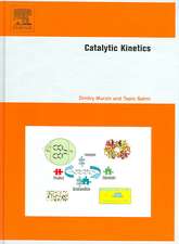 Catalytic Kinetics: Chemistry and Engineering