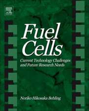 Fuel Cells: Current Technology Challenges and Future Research Needs