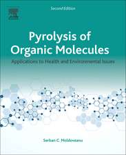 Pyrolysis of Organic Molecules: Applications to Health and Environmental Issues