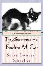 The Autobiography of Foudini M. Cat