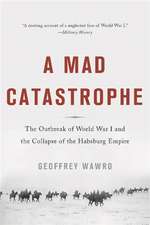 A Mad Catastrophe: The Outbreak of World War I and the Collapse of the Habsburg Empire