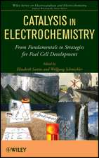 Catalysis in Electrochemistry – From Fundamentals to Strategies for Fuel Cell Development