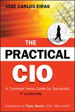 The Practical CIO – A Common Sense Guide for Successful IT Leadership