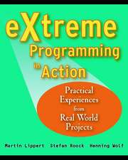Lippert, M: Extreme Programming in Action