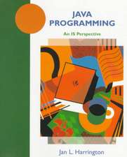 Java Programming – An IS Perspective (WSE)