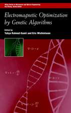 Electromagnetic Optimization