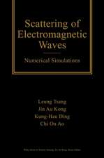 Scattering of Electromagnetic Waves – Numerical Simulations