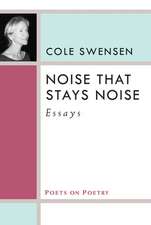 Noise That Stays Noise: Essays