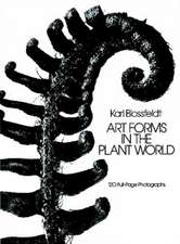 Art Forms in the Plant World