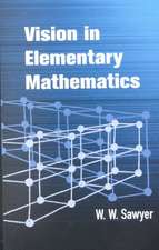 Vision in Elementary Mathematics