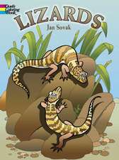 Lizards
