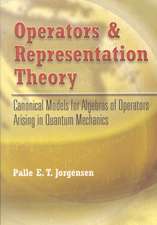 Operators and Representation Theory: Canonical Models for Algebras of Operators Arising in Quantum Mechanics