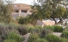 National Museum of Qatar: Museum Guide