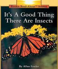 It's a Good Thing There Are Insects