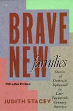 Brave New Faces – Stories of Domestic Upheaval in Late Twentieth Century America