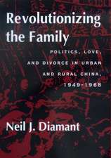 Revolutionizing the Family – Politics, Love & Divorce in Urban & Rural China 1949–1968