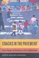 Cracks in the Pavement – Social Change and Resilience in Poor Neighborhoods