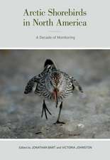 Arctic Shorebirds in North America – A Decade of Monitoring