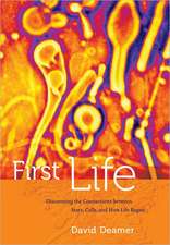 First Life – Discovering the Connections Between Stars, Cells and How Life Began