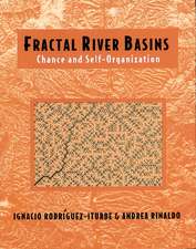 Fractal River Basins: Chance and Self-Organization