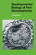 Developmental Biology of Fern Gametophytes