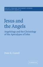 Jesus and the Angels: Angelology and the Christology of the Apocalypse of John