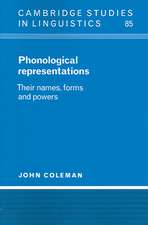 Phonological Representations: Their Names, Forms and Powers