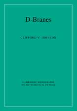 D-Branes