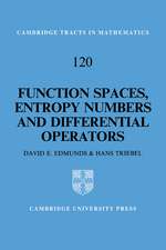 Function Spaces, Entropy Numbers, Differential Operators