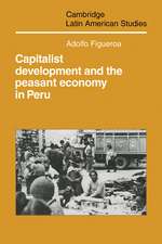 Capitalist Development and the Peasant Economy in Peru