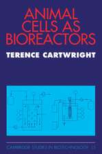 Animal Cells as Bioreactors