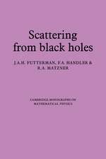 Scattering from Black Holes