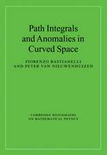 Path Integrals and Anomalies in Curved Space