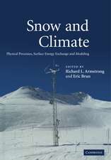 Snow and Climate: Physical Processes, Surface Energy Exchange and Modeling