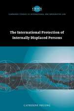 The International Protection of Internally Displaced Persons